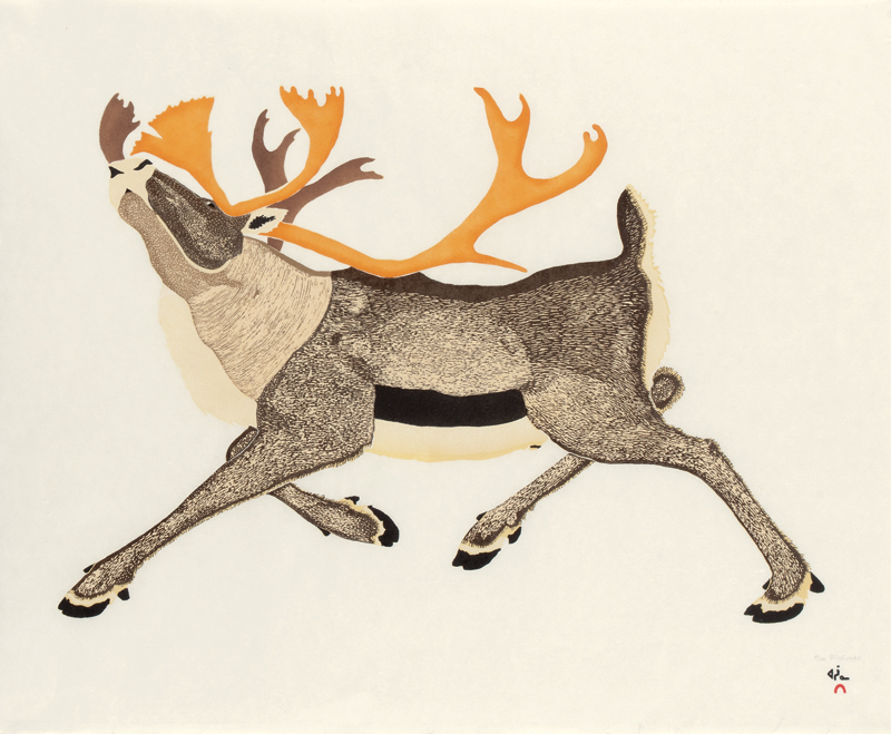 Featured image for “Another successful Cape Dorset Annual Print Collection release”