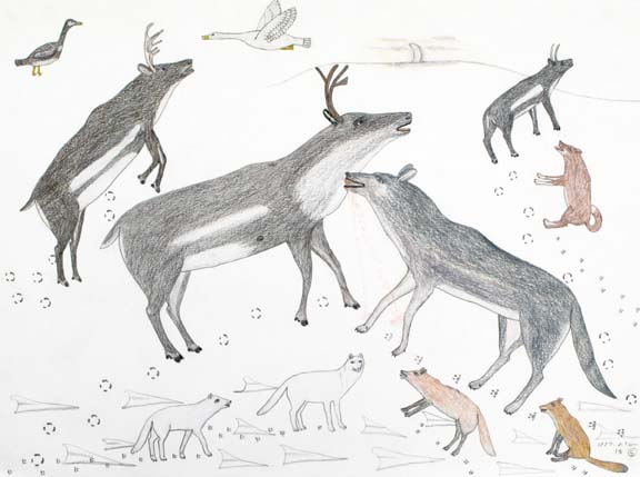 CARIBOU AND WOLVES