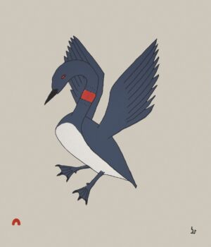 MISIJUQ (DESCENDING LOON)