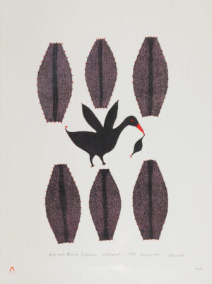 BIRD AND DRYING SEALSKINS