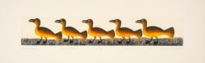 MARCHING GULLS