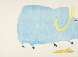 BLUE MUSKOX