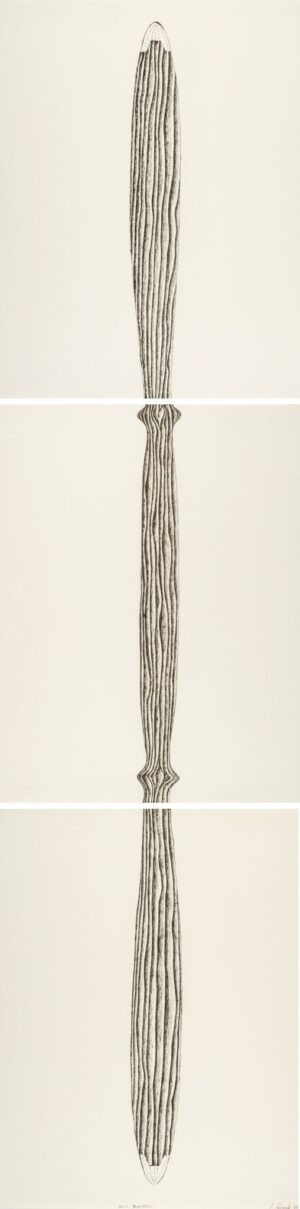 PAUTII (KAYAK PADDLE)