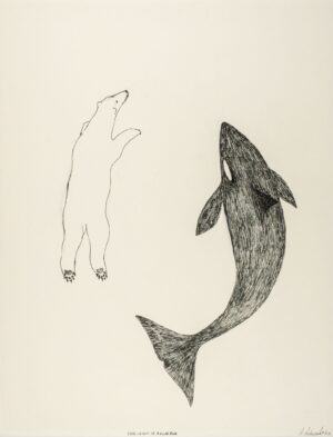 FATE OR NOT OF A POLAR BEAR