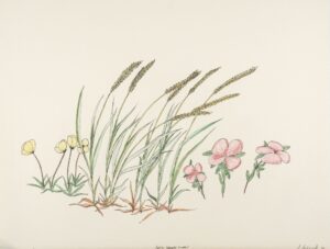 ARCTIC GROWTH (SOME)