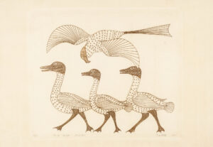 GEESE WITH HAWK