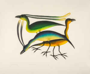 SHORE BIRDS GATHER