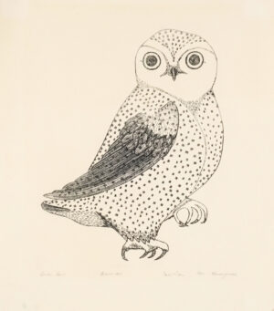ARCTIC OWL