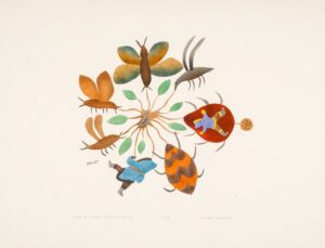 CYCLE OF NATURE