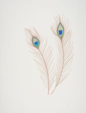 PEACOCK FEATHERS