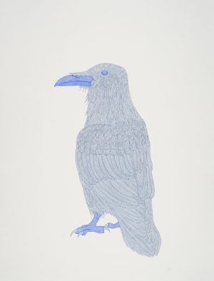 BLUE RAVEN